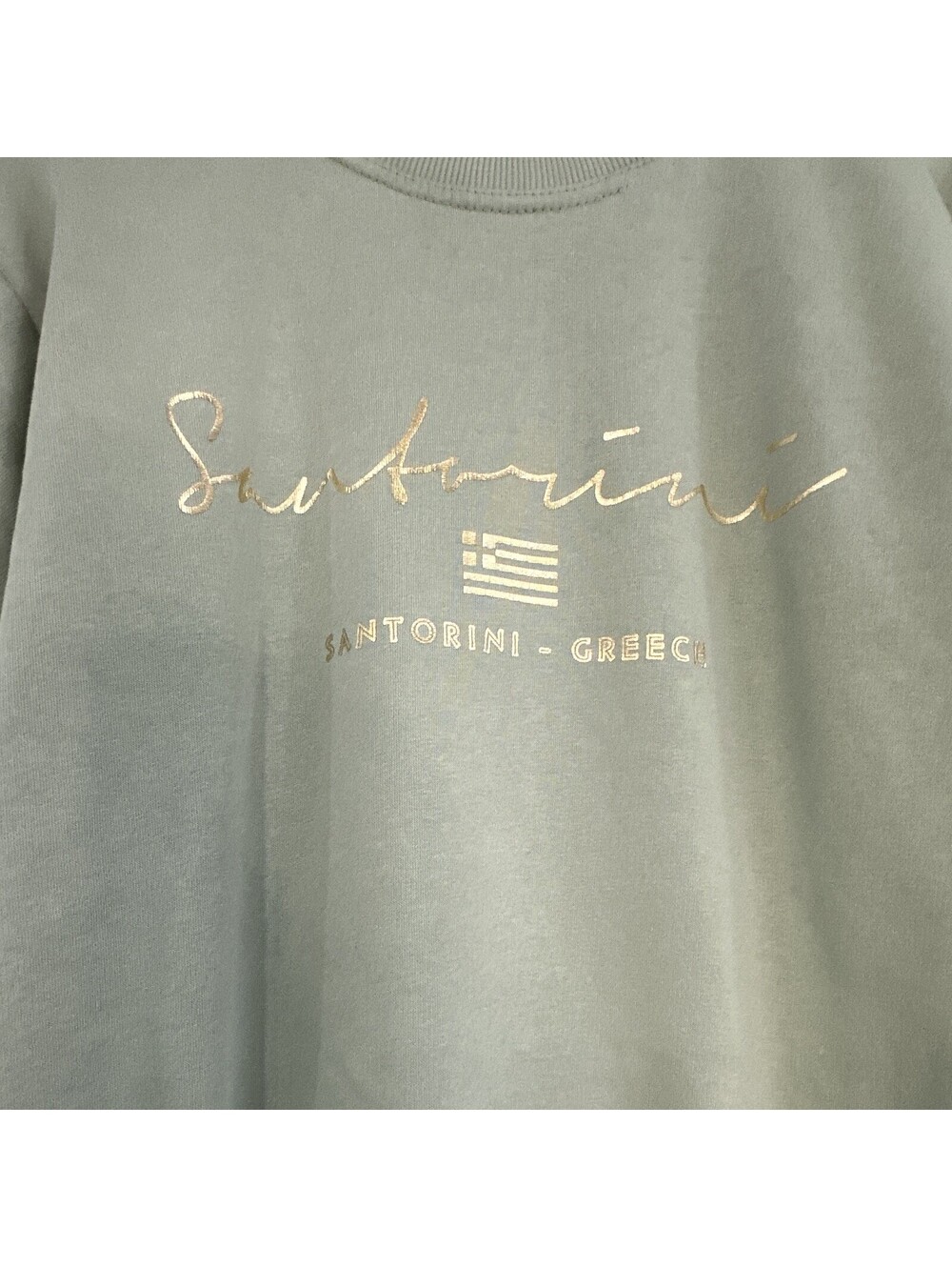 Domna Bogioka Sage green crewneck pullover sweatshirt Size Small EUC